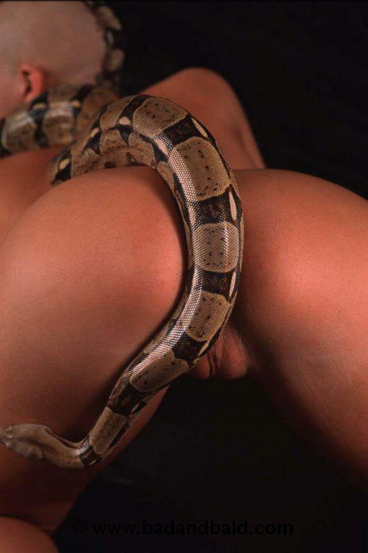 Eva y la serpiente