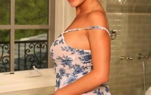 Fotos de Bree Olson